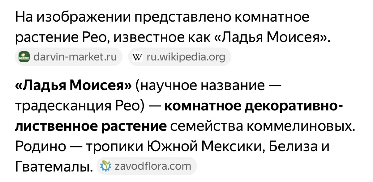IMG_1503.jpeg