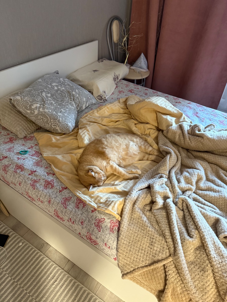 IMG_1580.jpeg