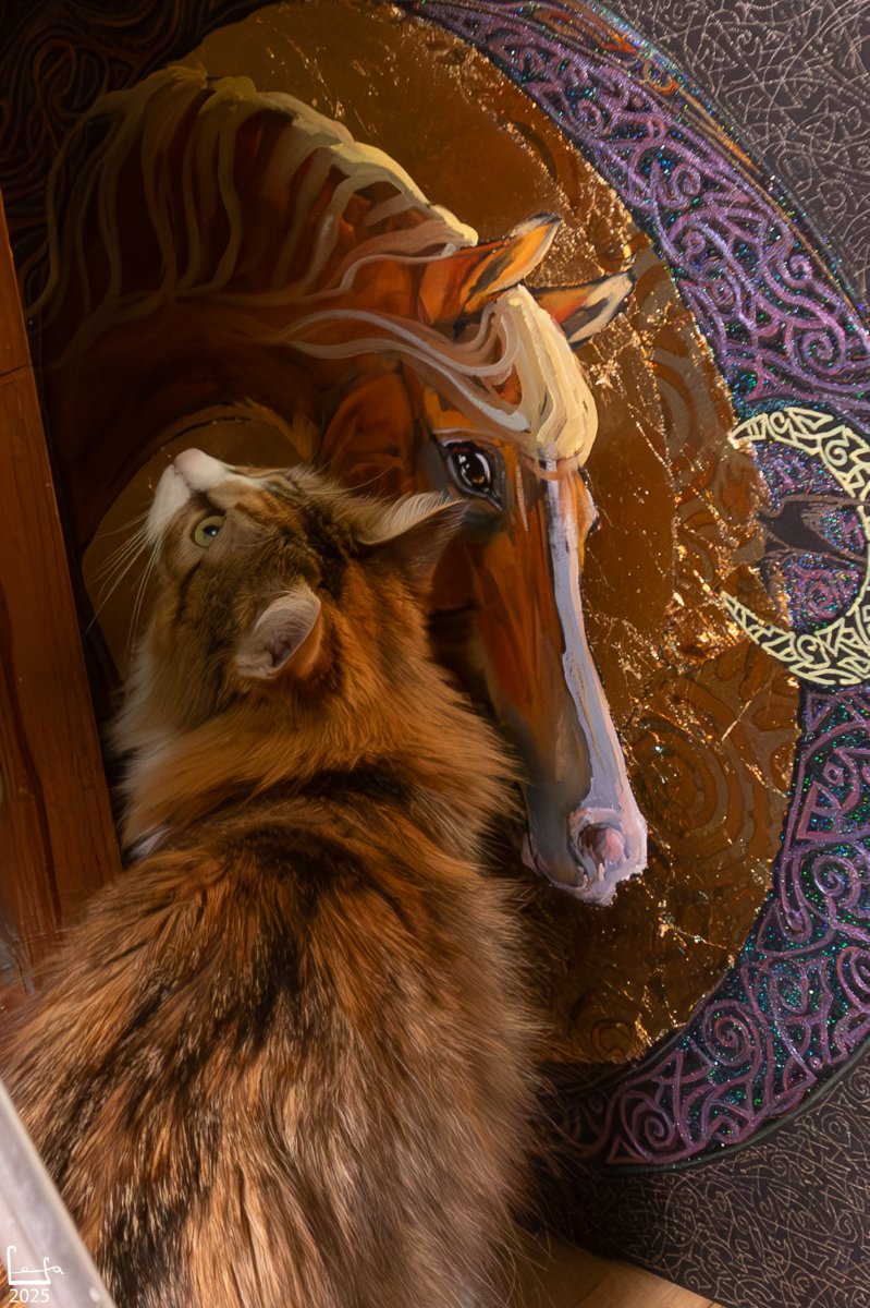 IMG_1581-Улучшено-Ум. шума.jpg