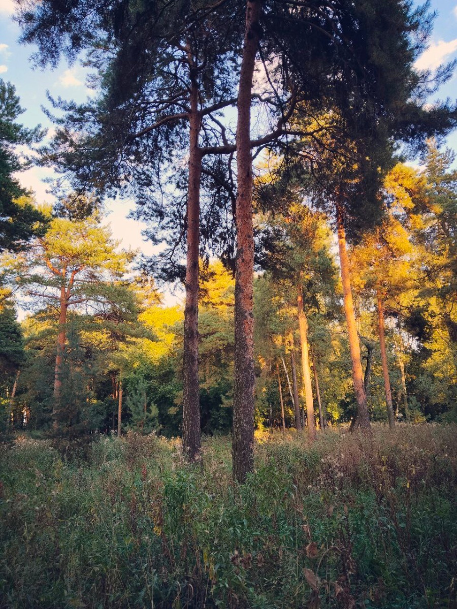 IMG_1603.jpeg