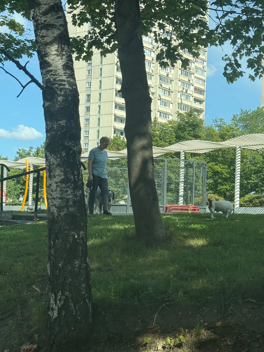 IMG_1686.jpeg