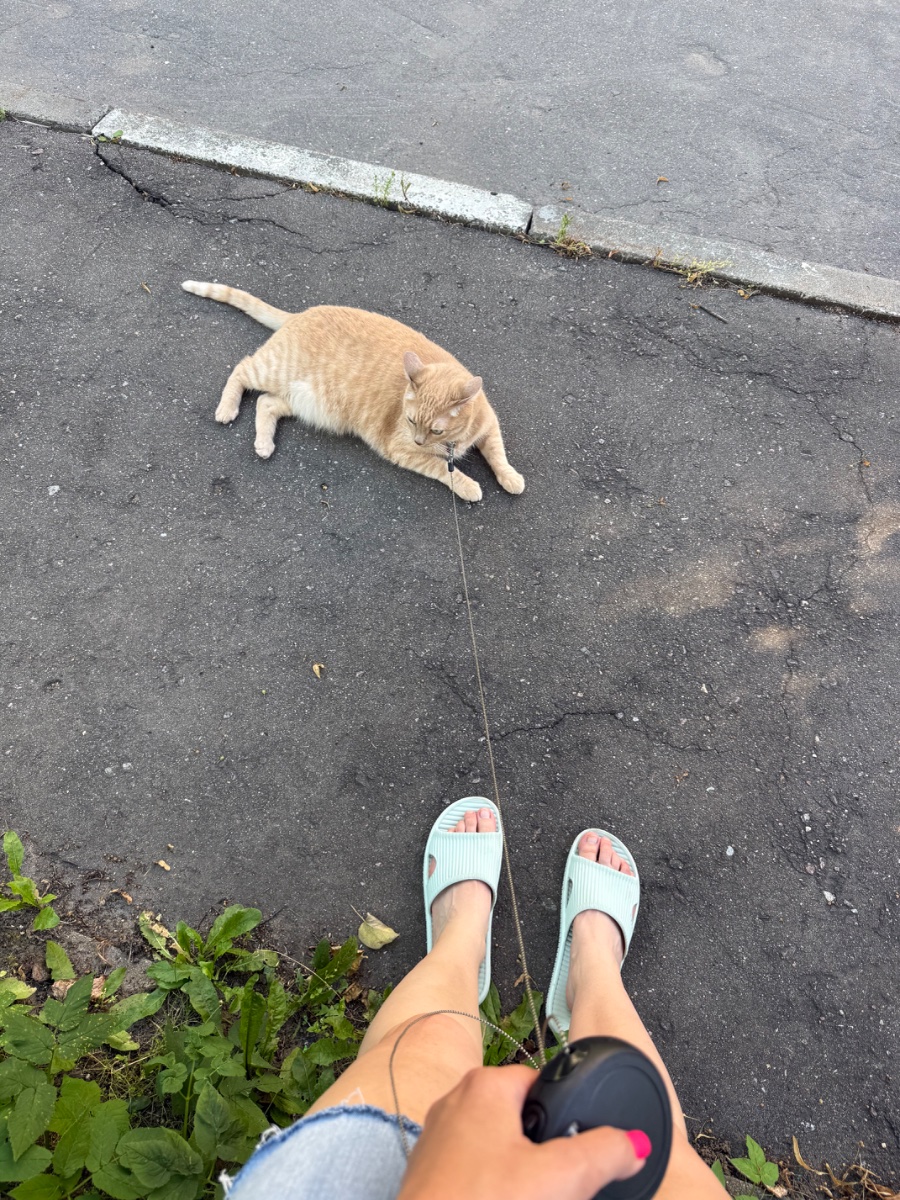 IMG_1714.jpeg