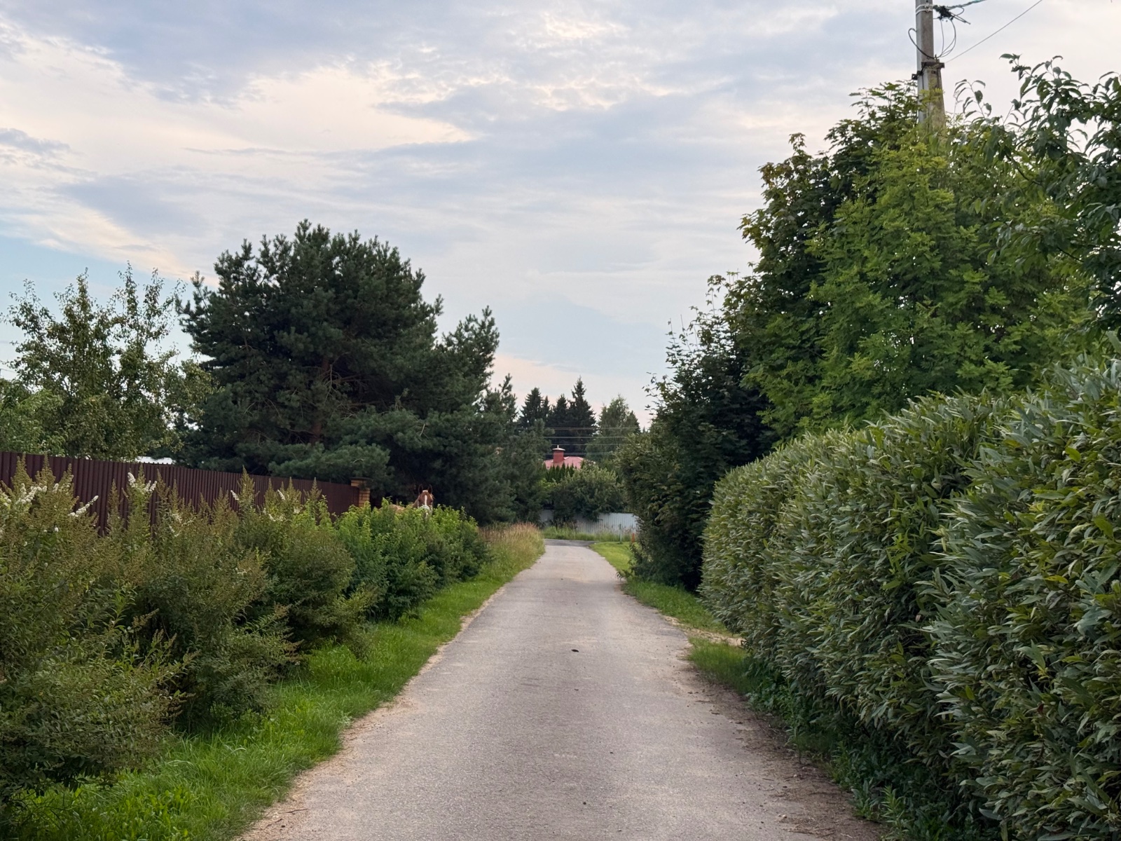 IMG_1742.jpeg