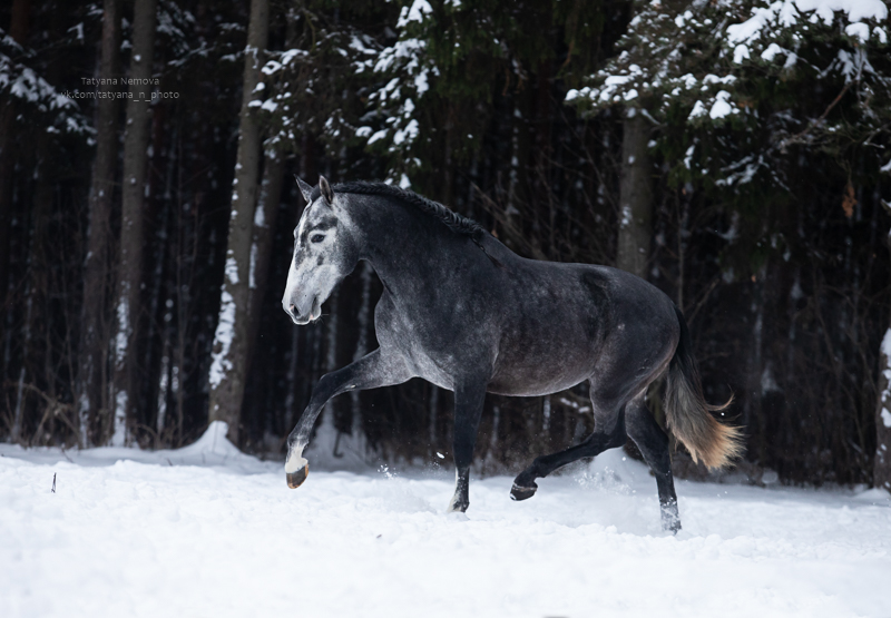 IMG_1786-Edit.jpg