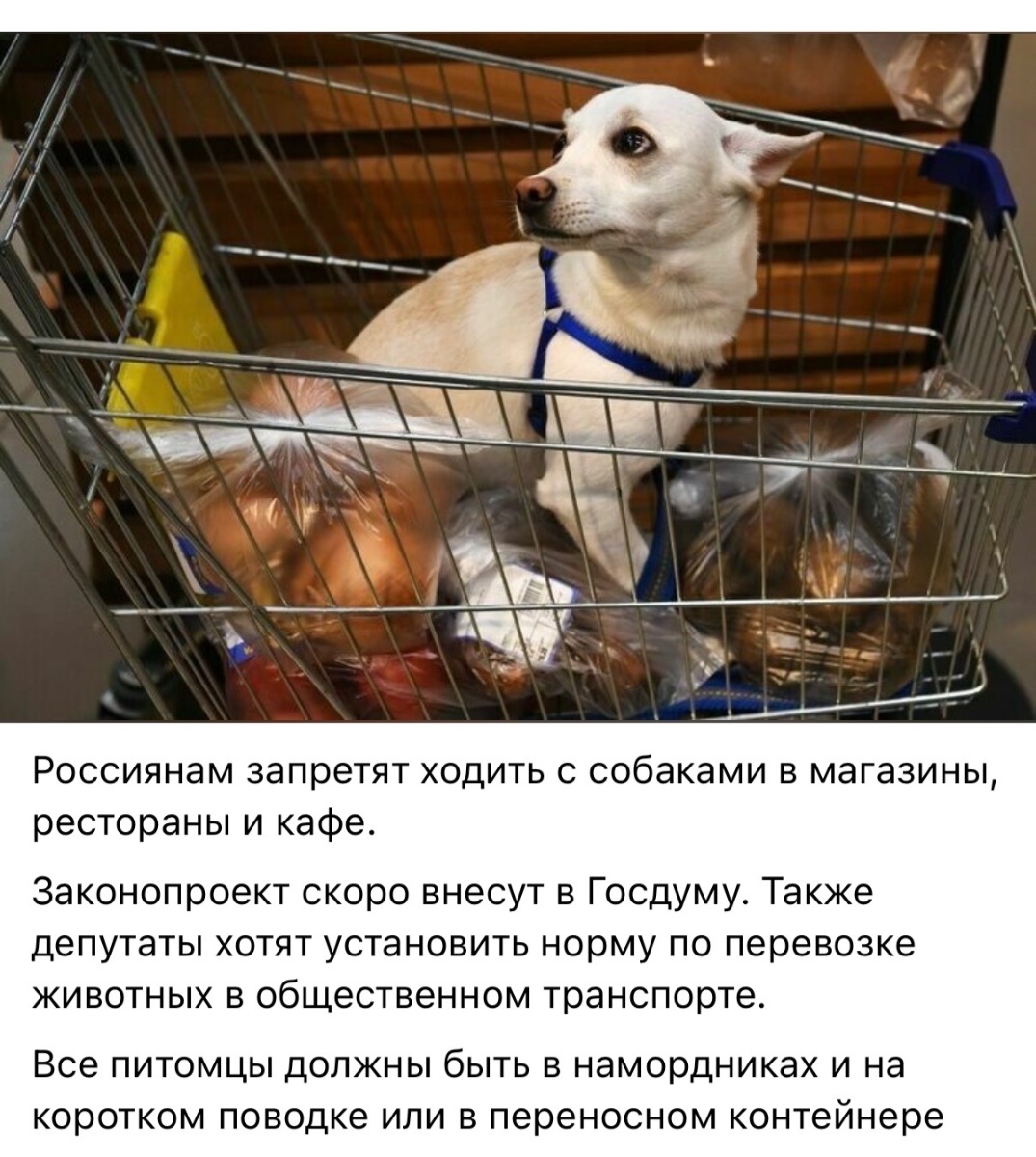 IMG_1828.jpeg
