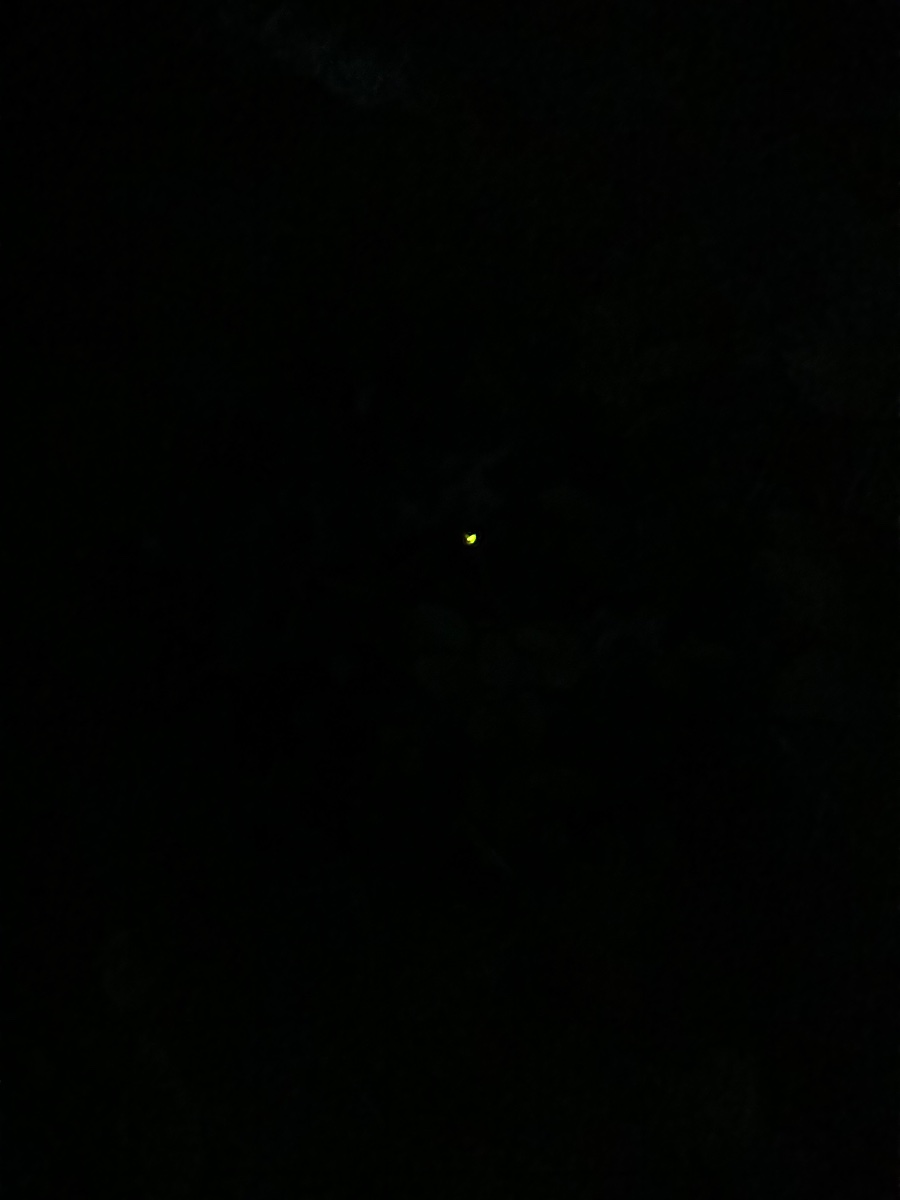 IMG_1832.jpeg