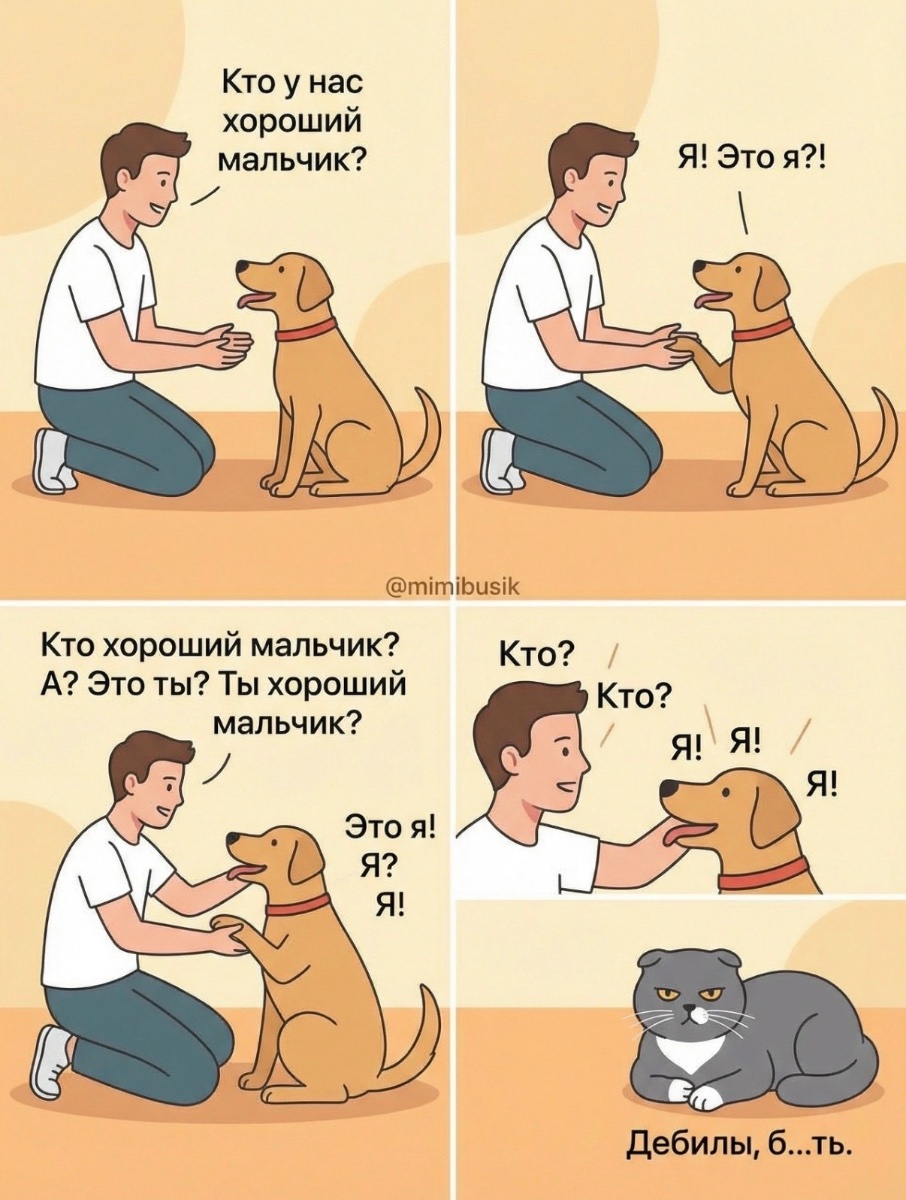 IMG_1860.jpeg