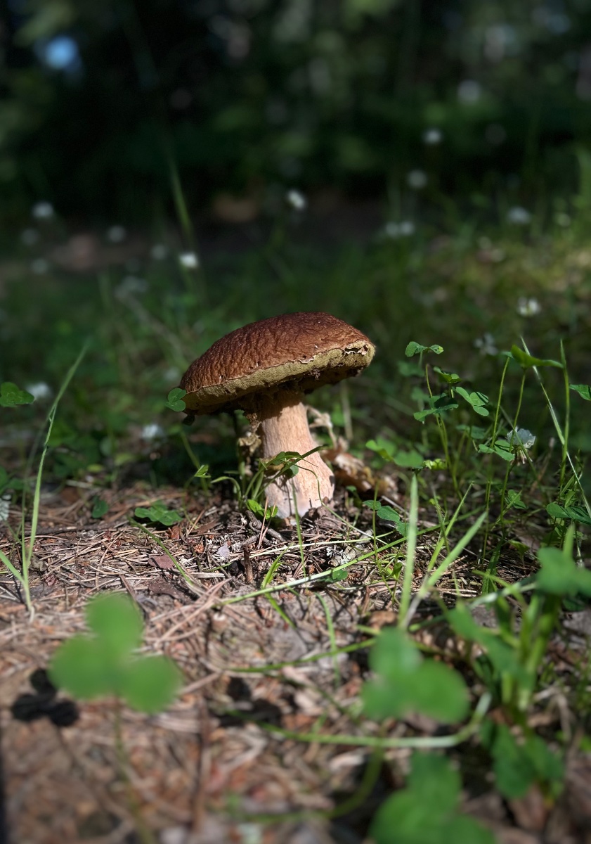 IMG_1872.jpeg