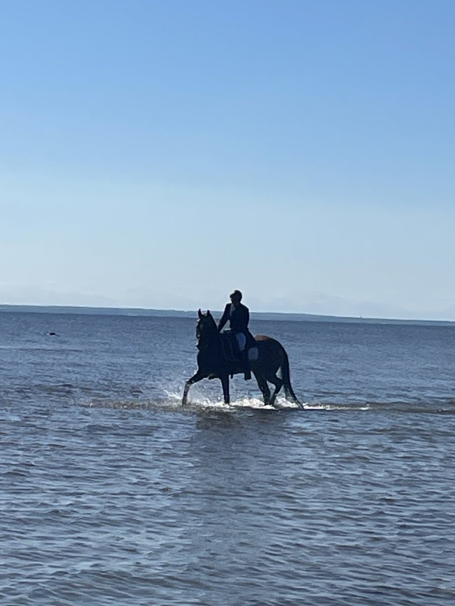 IMG_1893.jpeg