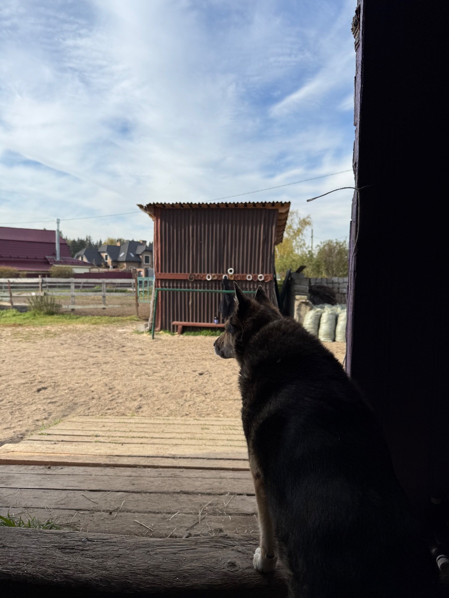 IMG_1925.jpeg