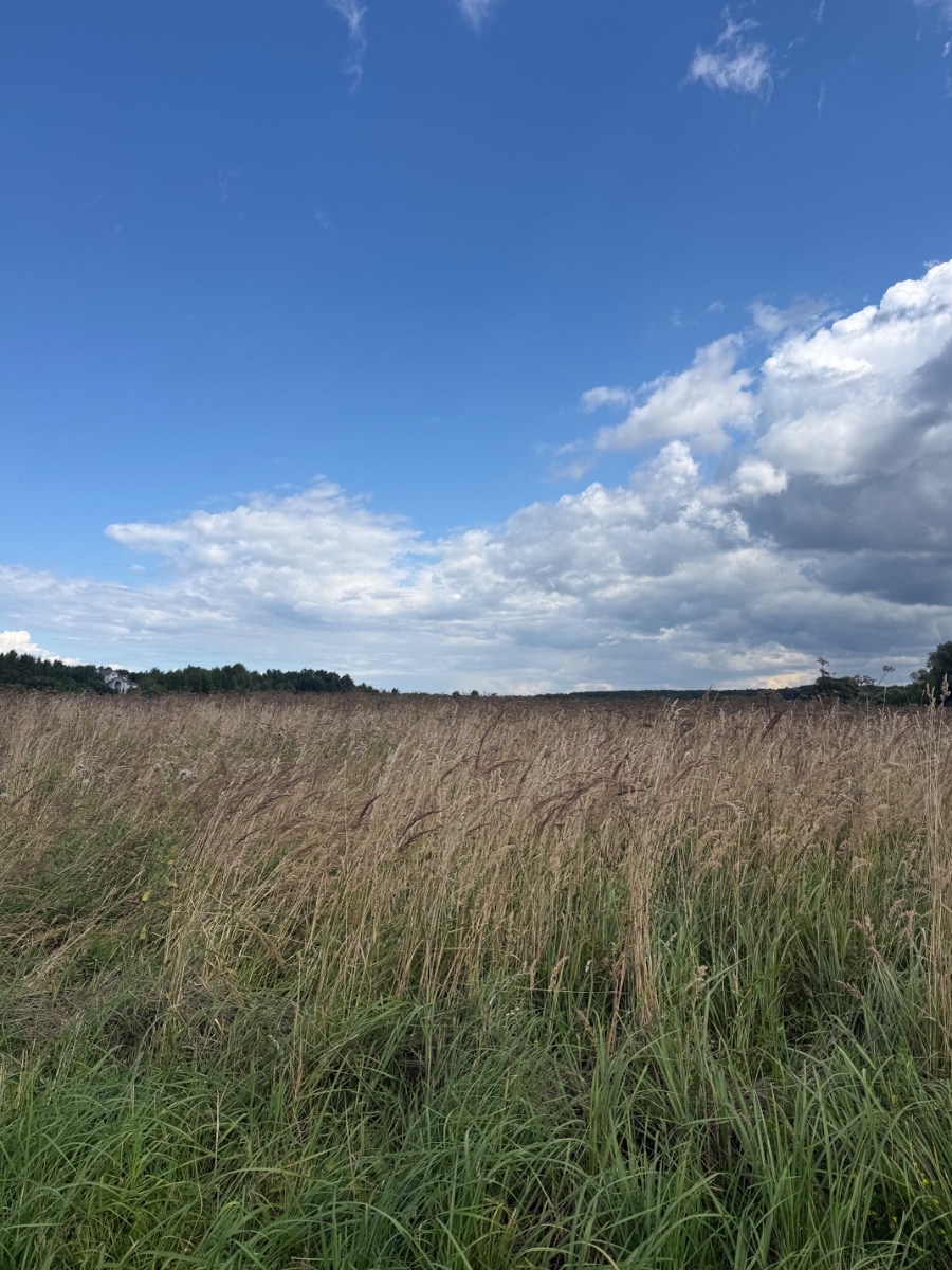 IMG_1965.jpeg