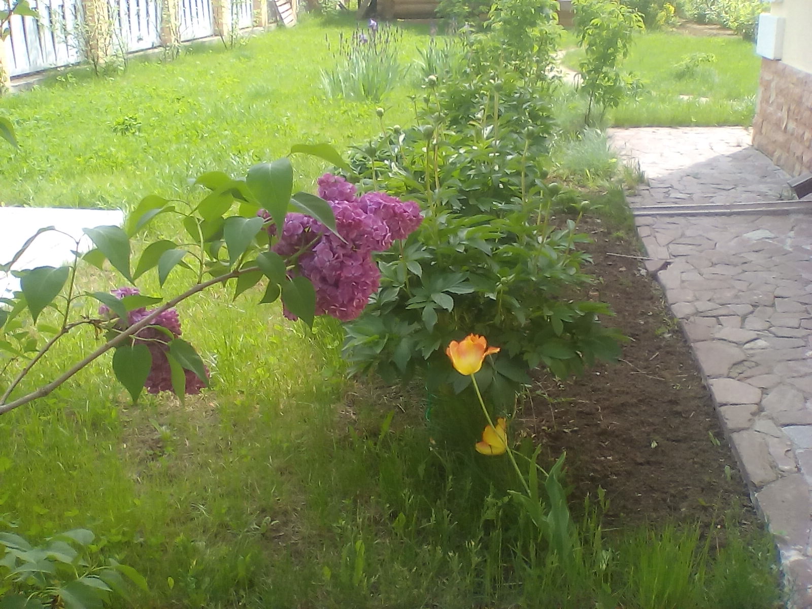 IMG_20160528_120926.jpg