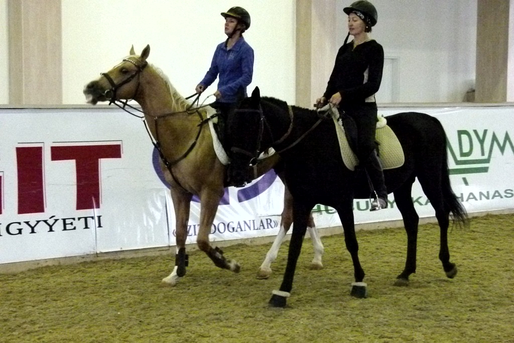 IMG_20161107_222444_4.jpg IMG_20161107_222444_4.jpg