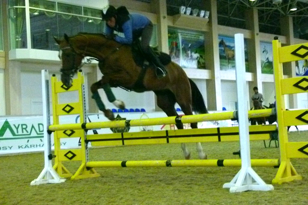 IMG_20161107_222707_9.jpg IMG_20161107_222707_9.jpg