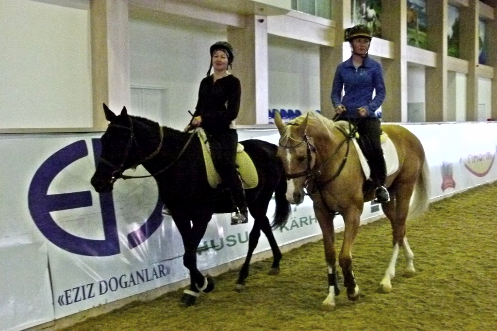 IMG_20161107_223050_0.jpg IMG_20161107_223050_0.jpg