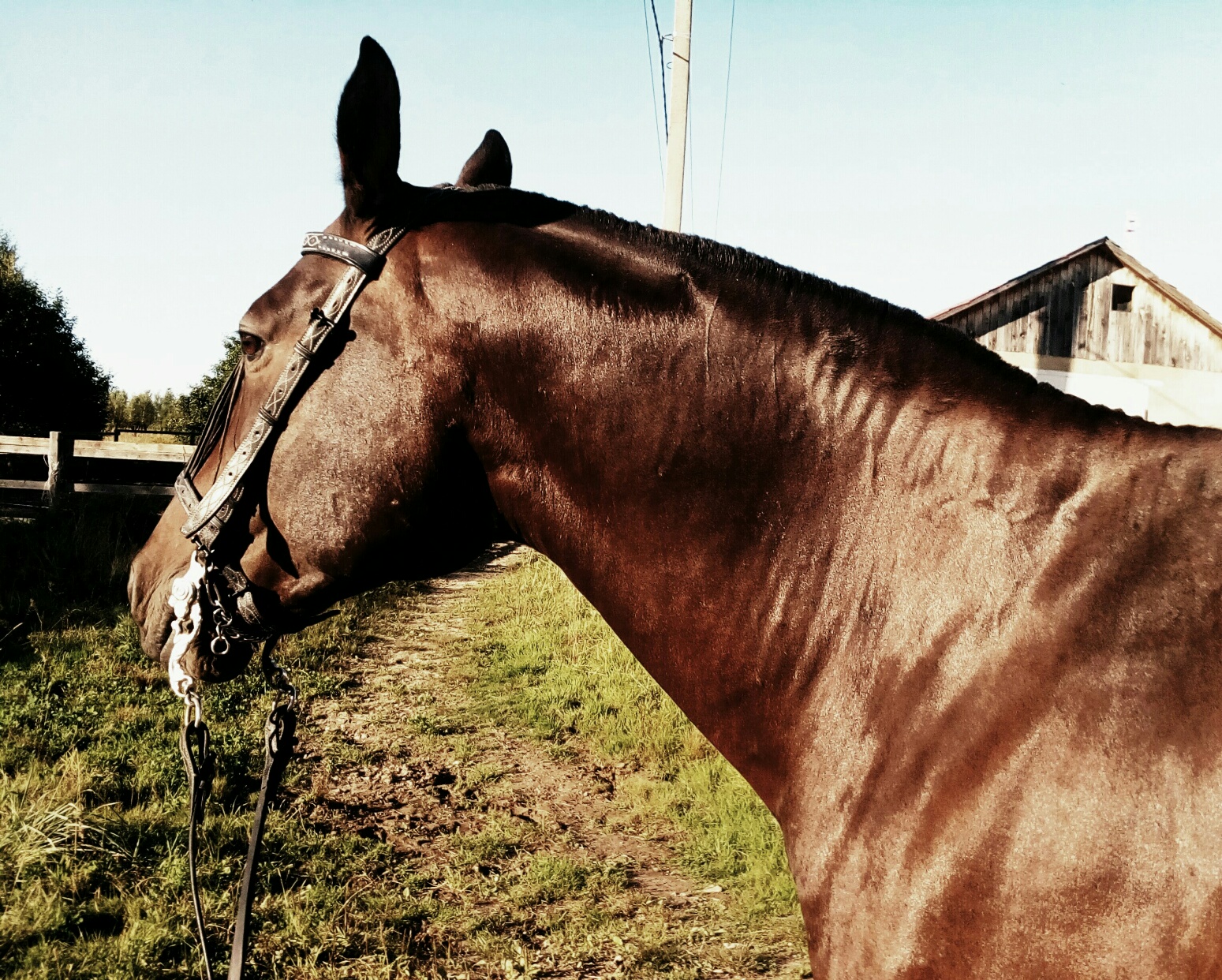 IMG_20170831_203806_976.jpg IMG_20170831_203806_976.jpg