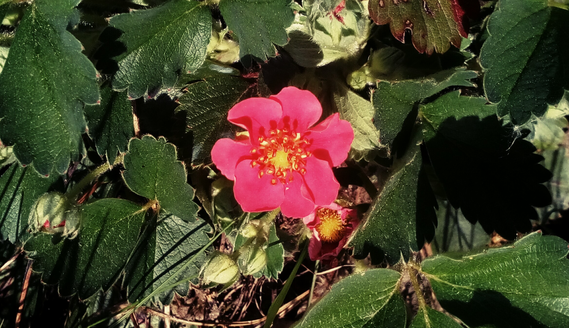 IMG_20180514_150124_798.jpg