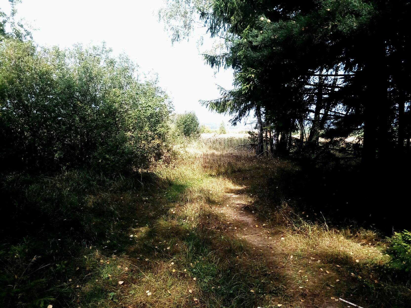IMG_20180904_183815_266.jpg