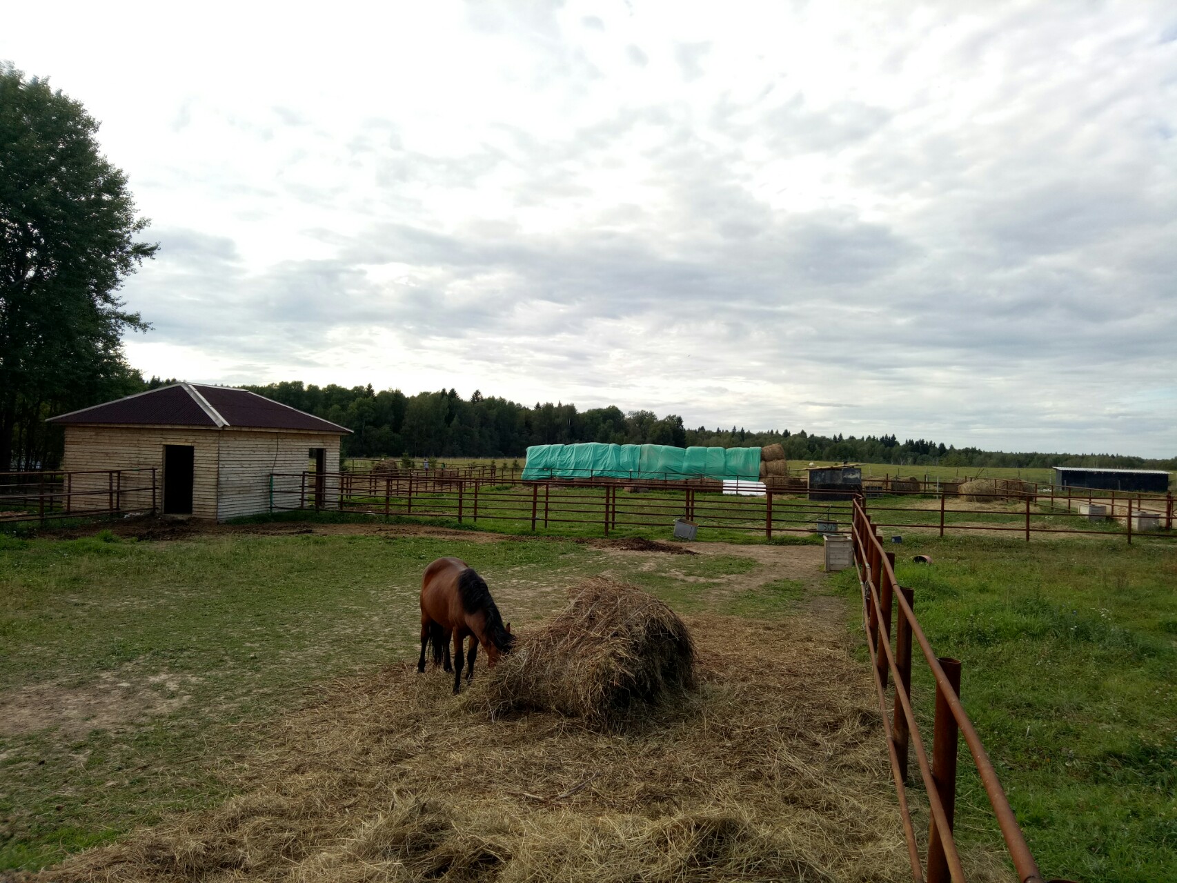IMG_20180915_152716.jpg