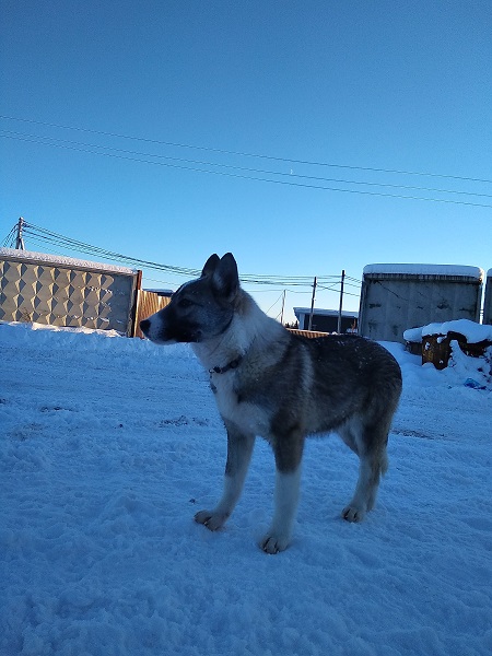 IMG_20190112_145731_8.jpg
