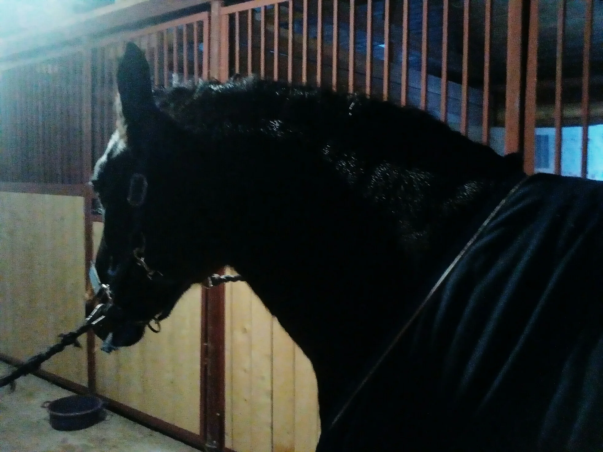 IMG_20190117_192842_180.webp