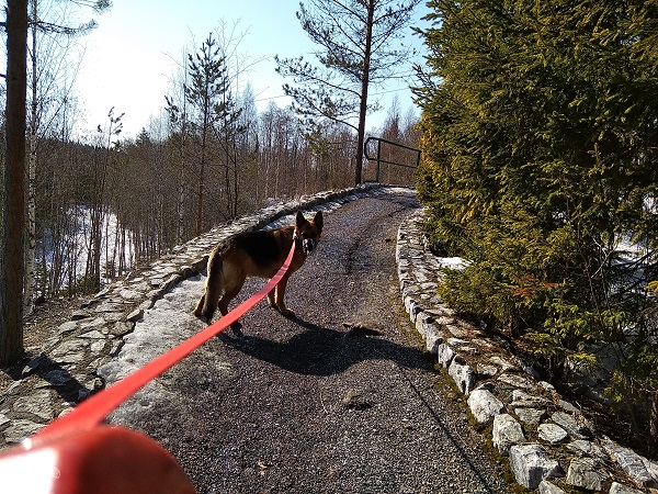 IMG_20190405_131505.jpg-рускеала.jpg