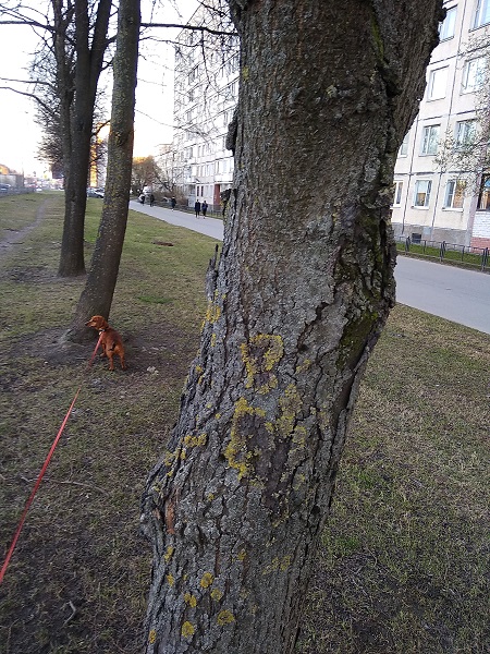 IMG_20190418_193324.jpg