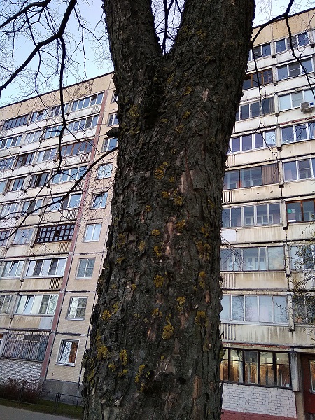 IMG_20190418_193356.jpg