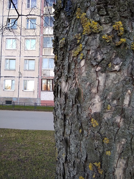 IMG_20190418_193412.jpg