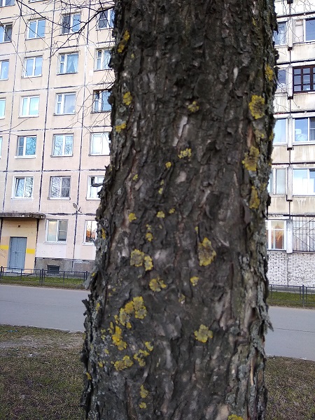 IMG_20190418_193438.jpg