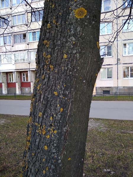 IMG_20190418_193503.jpg