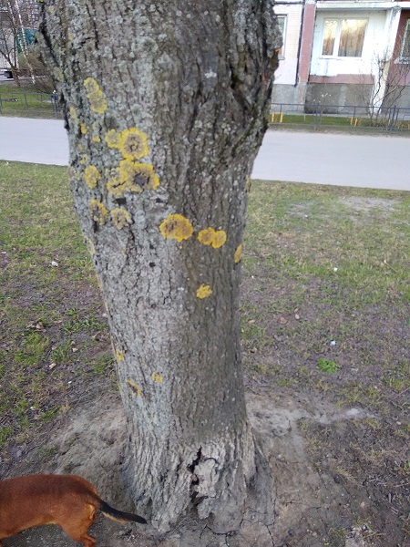IMG_20190418_193608.jpg