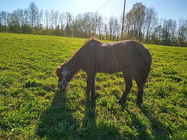 IMG_20190509_172130_HDR.jpg-44.jpg