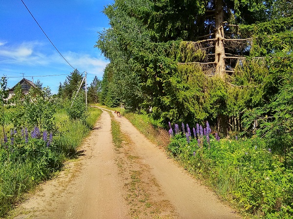 IMG_20190613_111400_HDR.jpg-17.jpg