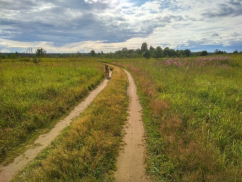 IMG_20190712_161827_HDR.jpg-40.jpg