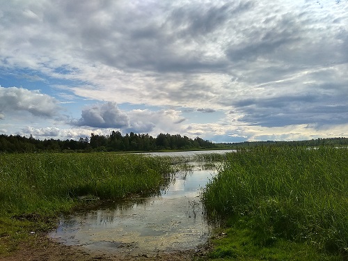 IMG_20190712_162146_HDR.jpg-41.jpg