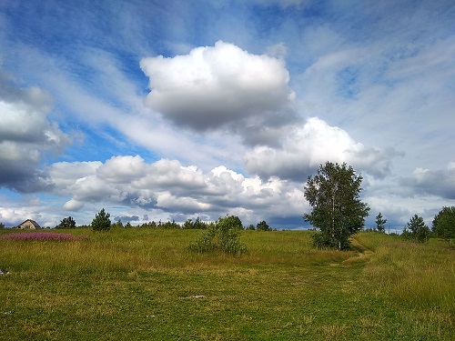 IMG_20190712_162225_HDR.jpg-43.jpg