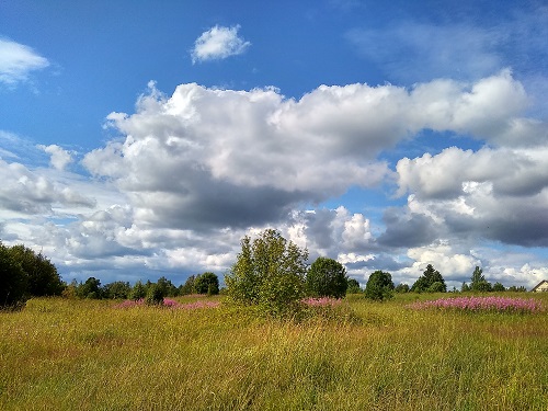 IMG_20190712_162304_HDR.jpg-44.jpg