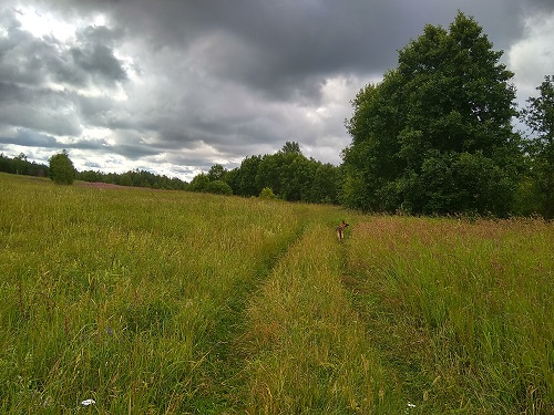 IMG_20190713_093152_HDR.jpg-48.jpg