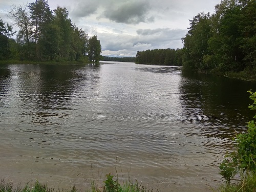 IMG_20190713_113734_HDR.jpg-59.jpg