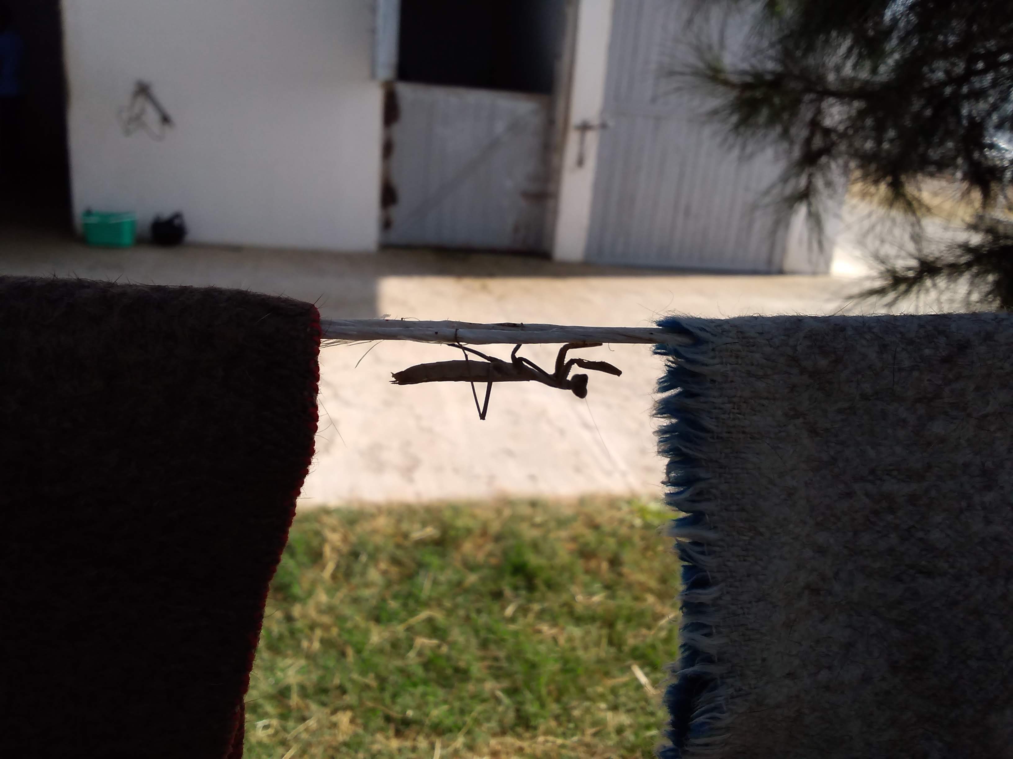 IMG_20190920_152721.jpg