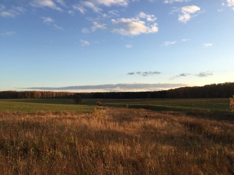 IMG_20191112_170437_986.jpg