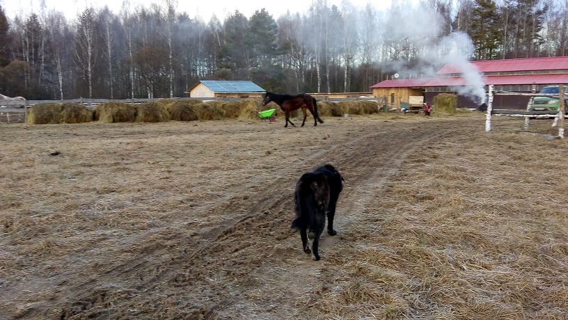 IMG_20191220_143250374.jpg