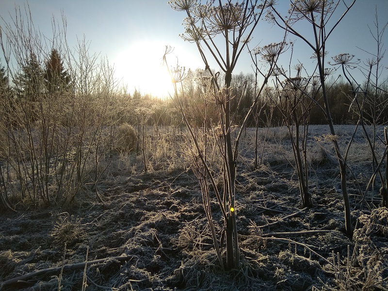 IMG_20200111_121434.jpg