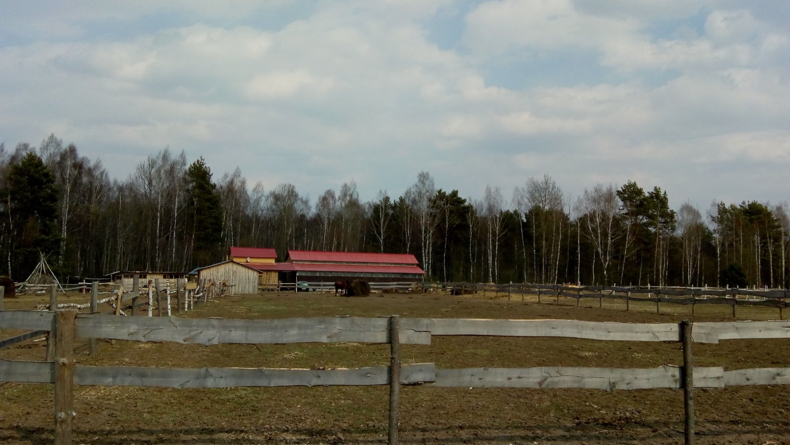 IMG_20200403_141355180.jpg