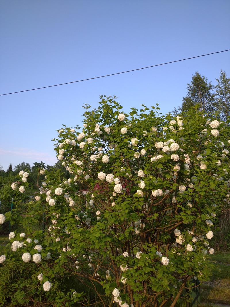 IMG_20200616_192137.jpg