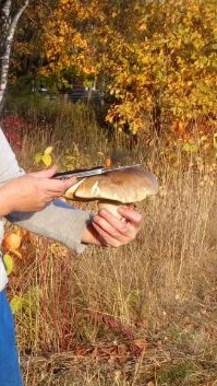 IMG_20201006_173810_214~2.jpg