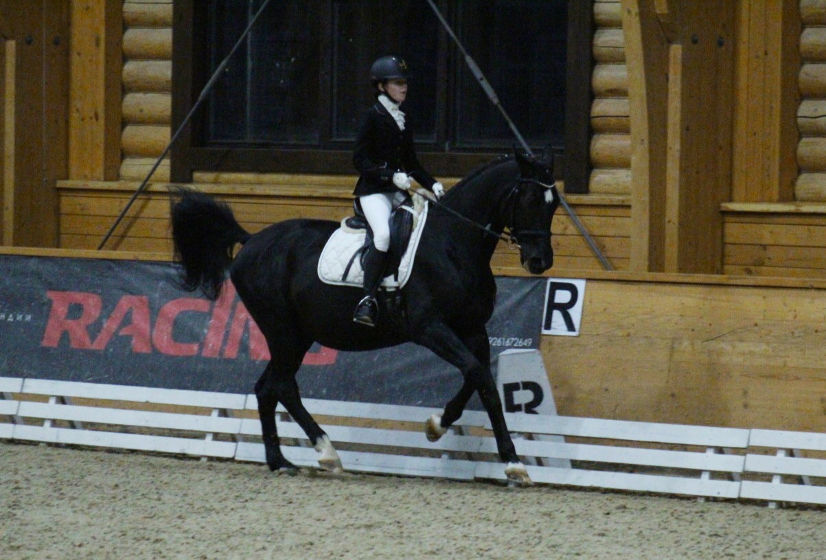 IMG_20201115_215757.jpg