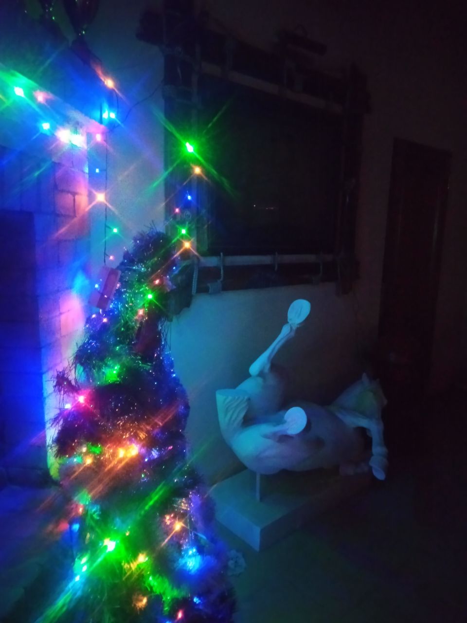 IMG_20210101_100251_116.jpg