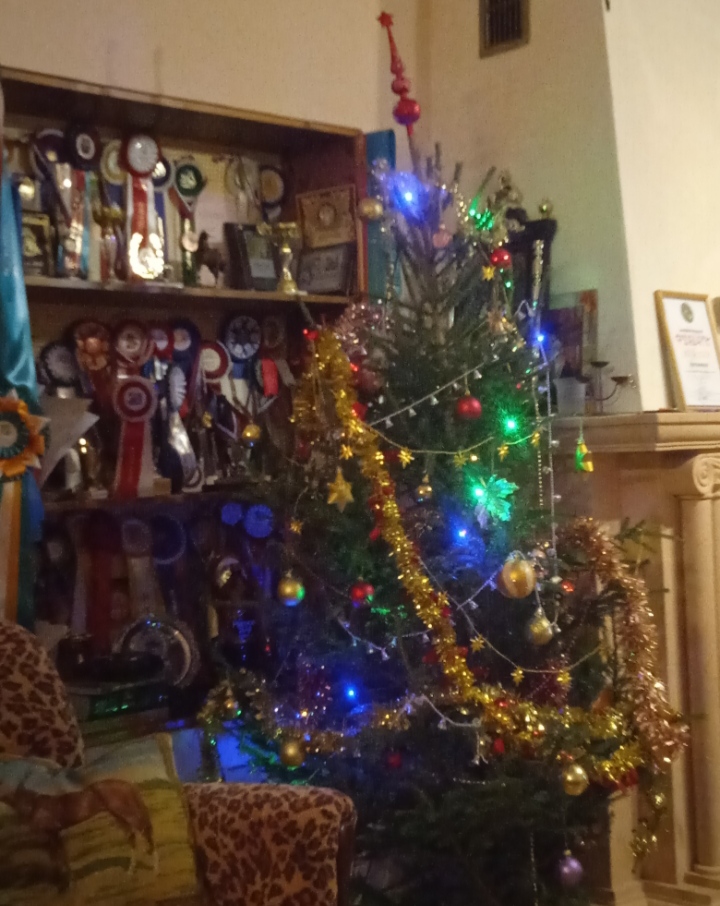 IMG_20210101_115806.jpg